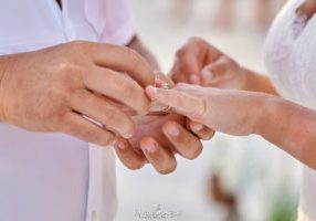 Perdido Key wedding officiant website